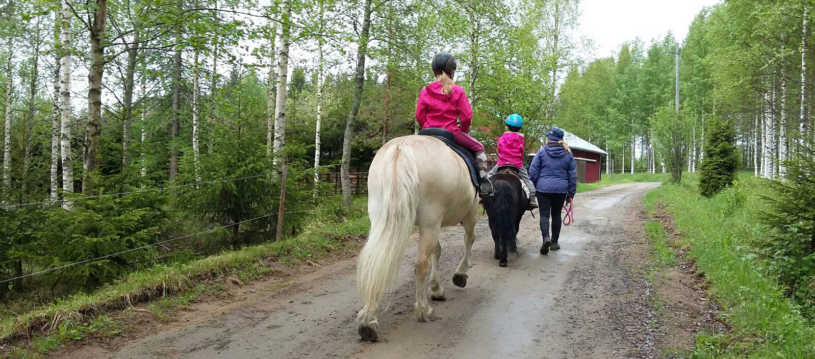 Sosiaalipedagoginen Hevostoiminta